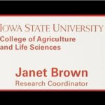 2" X 3" Iowa State University Name Tag