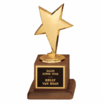 3 1/2" x 6 3/4" Modern Star Casting in Goldtone Finish on Walnut Finish Base with Black Laserable Plate