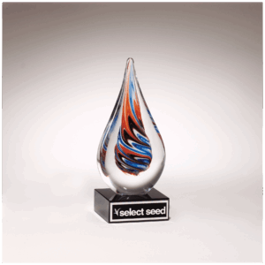 7 1/2" Teardrop Art Glass on Black Glass Base with Black Laserable Aluminum Plate