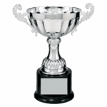 Completed Metal Cup Trophy on Plastic Base