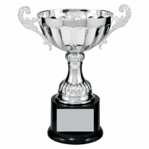 Completed Metal Cup Trophy on Plastic Base