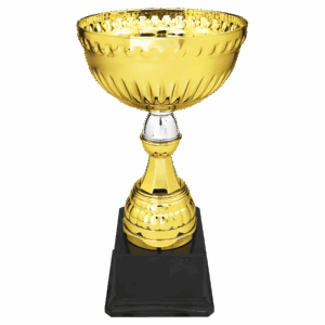 10 1/4" Gold & Silver Metal Cup with Plastic Stem and Base