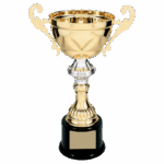 11 1/2" Completed Metal Cup Trophy on Plastic Base