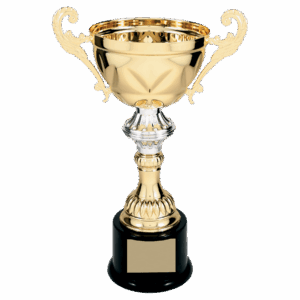 11 1/2" Completed Metal Cup Trophy on Plastic Base