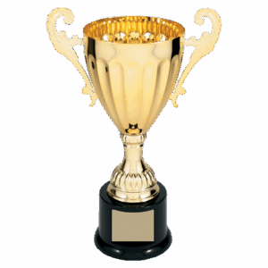 Completed Metal Cup Trophy on Plastic Base
