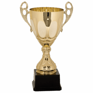 Completed Metal Cup Trophy on Plastic Base